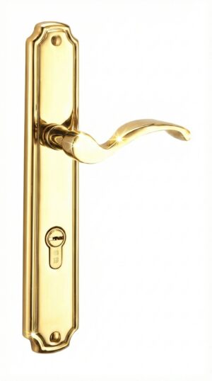 AJC Brass Handle LM9831 - PVD